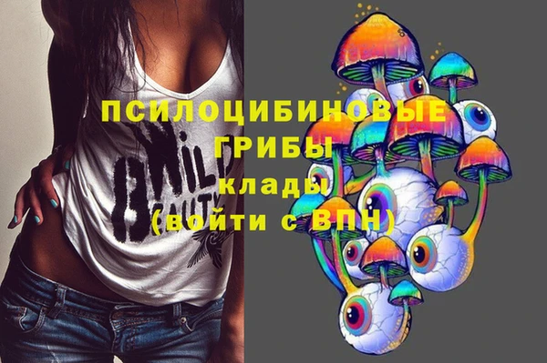 гидра Абинск