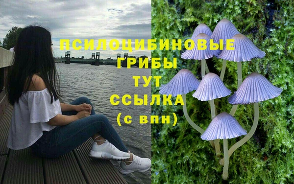 кокаин премиум Алексеевка